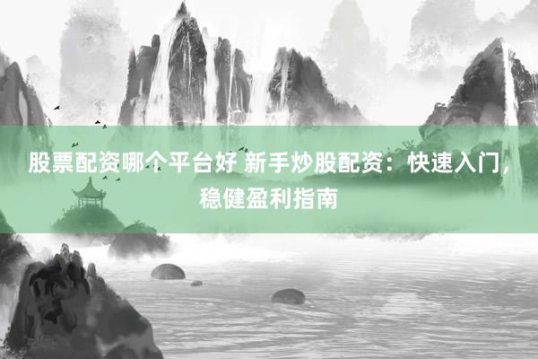 股票配资哪个平台好 新手炒股配资：快速入门，稳健盈利指南