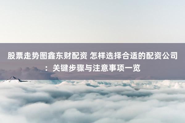 股票走势图鑫东财配资 怎样选择合适的配资公司：关键步骤与注意事项一览