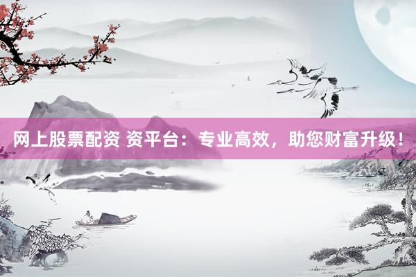 网上股票配资 资平台：专业高效，助您财富升级！