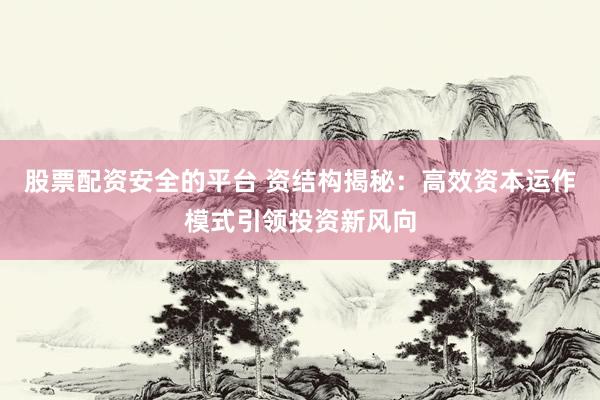 股票配资安全的平台 资结构揭秘：高效资本运作模式引领投资新风向