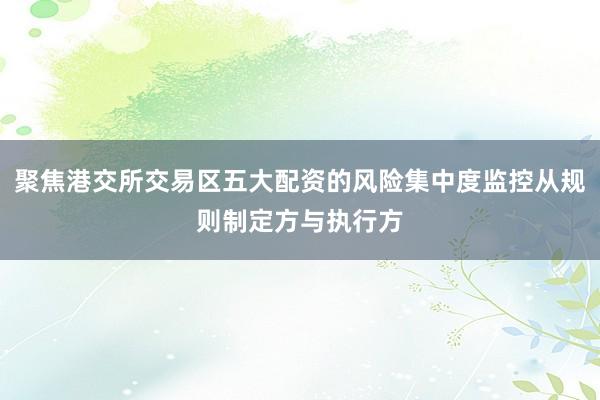 聚焦港交所交易区五大配资的风险集中度监控从规则制定方与执行方